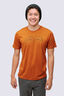 Macpac Taylor Range 180 Merino T-Shirt, Autumnal, hi-res
