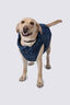 Macpac Dog Coat, Ensign Blue Camo, hi-res