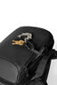 YETI&reg; Daytrip&reg; 20L Insulated Backpack, Black, hi-res