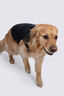 Macpac Dog Coat, Black/Black, hi-res