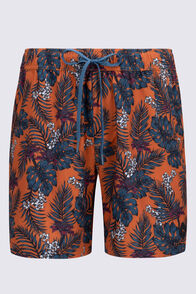 Macpac Men's Brighton 6" Boardshorts, Autumnal Print, hi-res