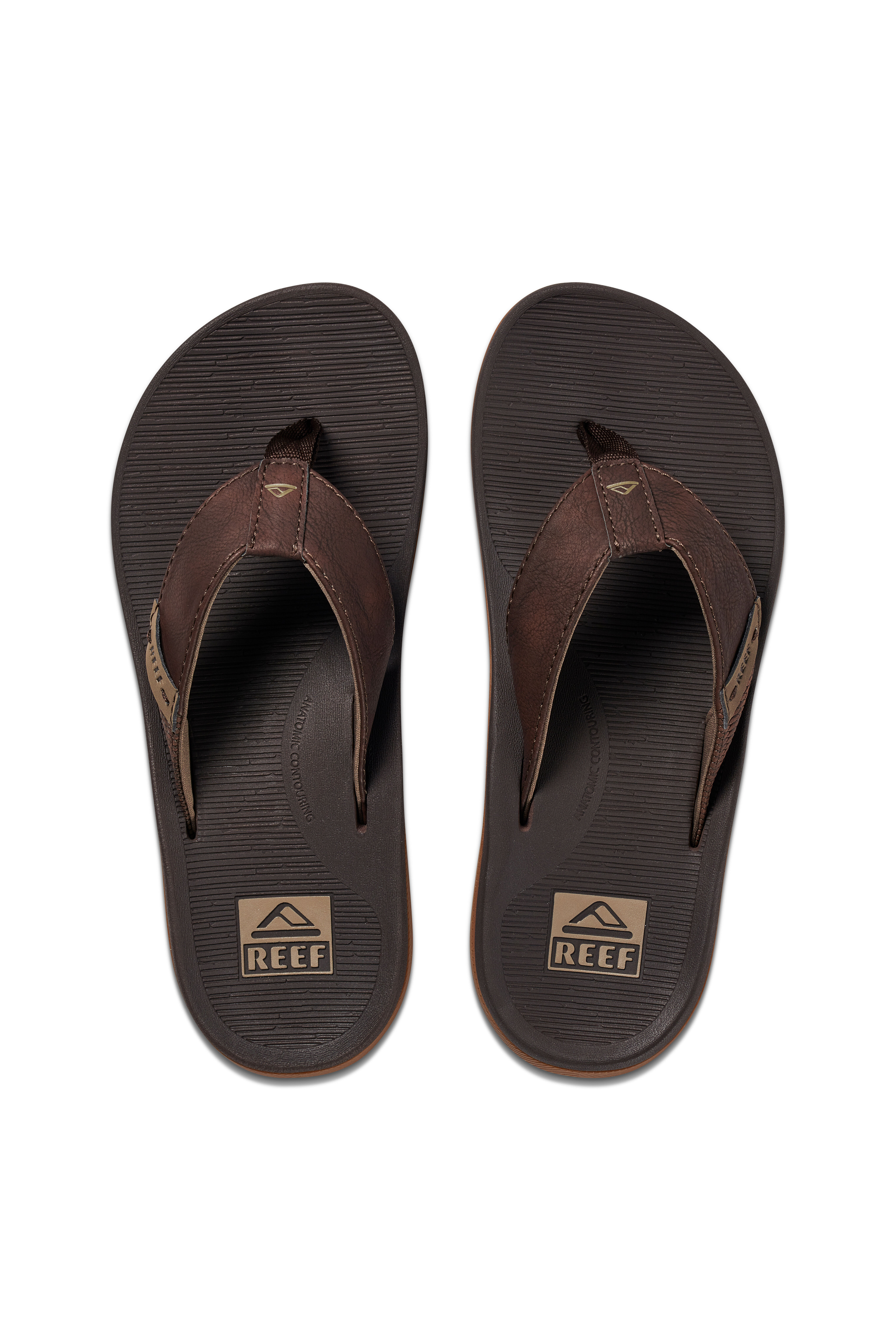 Reef hotsell thongs stockists