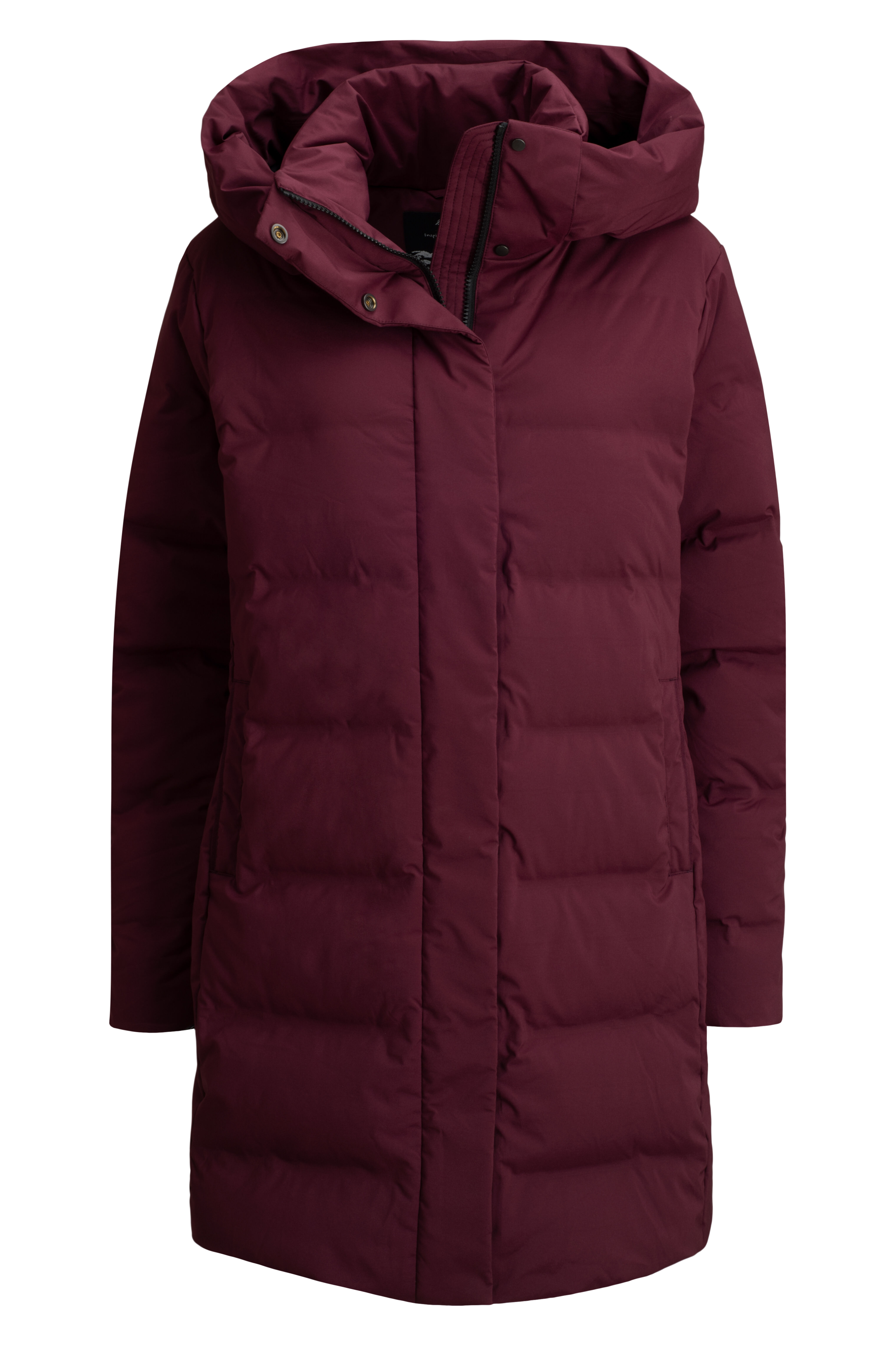 Burgundy down 2025 coat