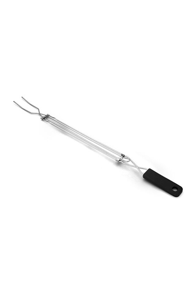 Coghlan's Extension Fork, None, view 1
