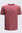Macpac Men's Lyell 180 Merino T-Shirt, Apple Butter, hi-res