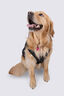 Macpac Dog Coat, Black/Black, hi-res