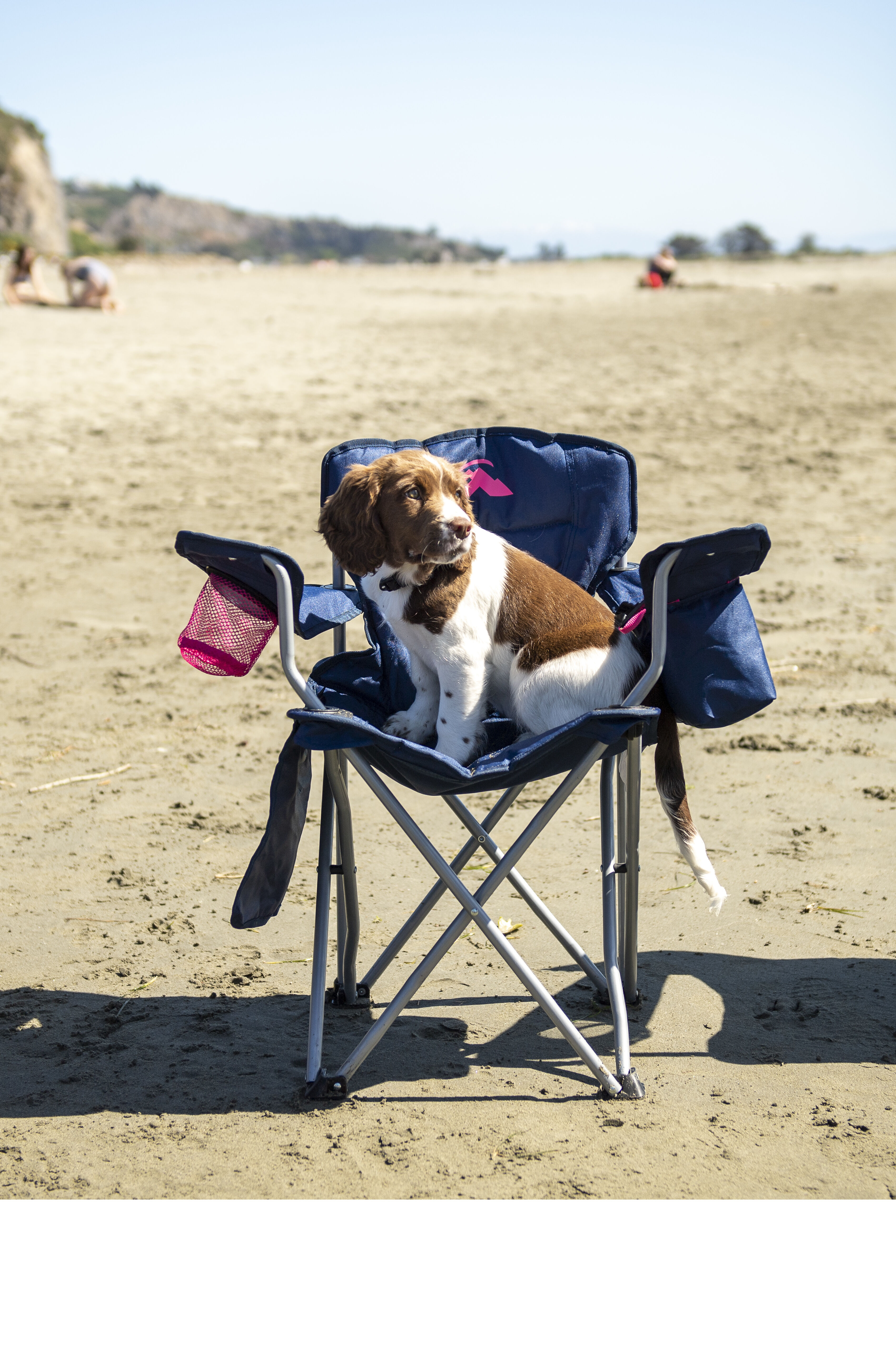 Macpac best sale camping chairs