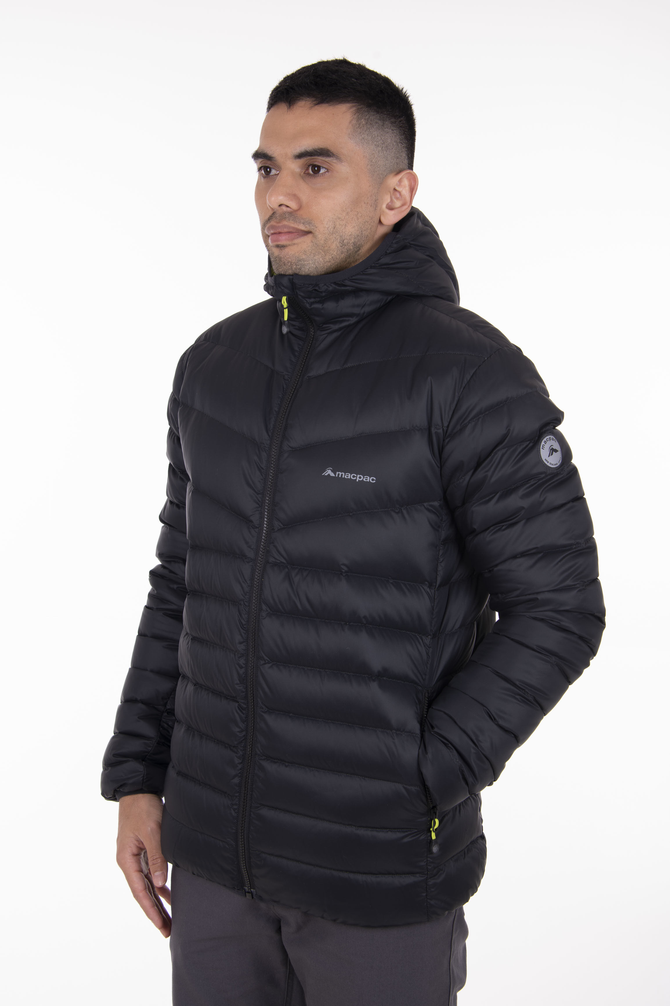softshell tommy hilfiger