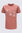 Macpac Women's Mt. Herbert T-Shirt, Cedar Wood, hi-res