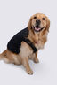 Macpac Dog Coat, Black/Black, hi-res