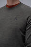 Macpac Men&rsquo;s 280 Merino Long Sleeve Crew, Grape Leaf Marle, hi-res