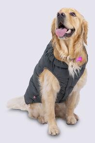 Macpac Dog Coat— XL, Urban Chic/Black, hi-res