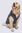 Macpac Dog Coat— XL, Urban Chic/Black, hi-res