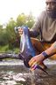 LifeStraw Peak Compact Gravity Water Filter System — 3L, Mountain Blue, hi-res