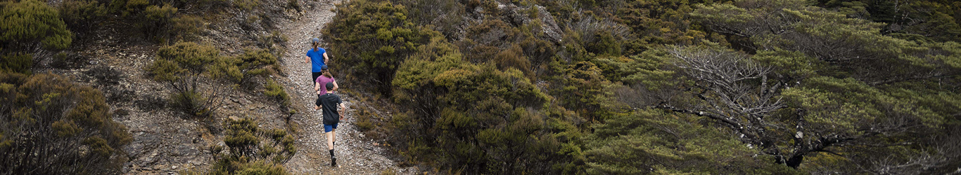 Three people trail running through forest