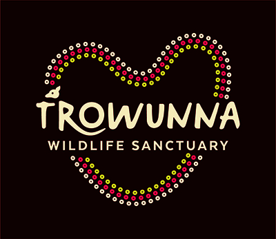 Trowunna