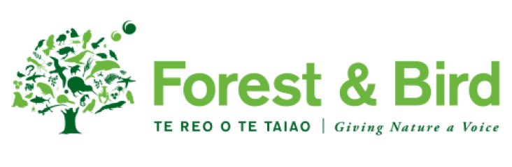 Forest and Bird
