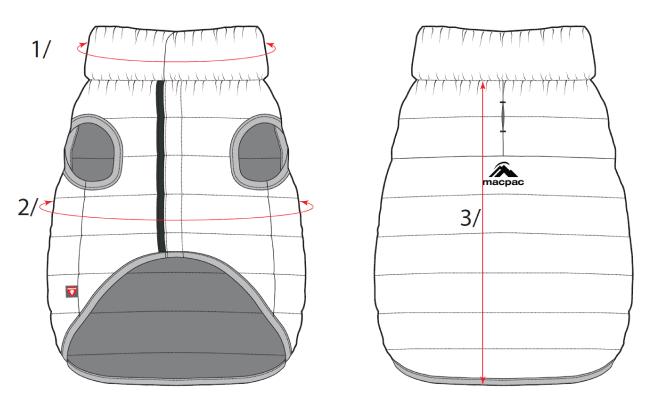 size chart diagram showing how to measure your back length