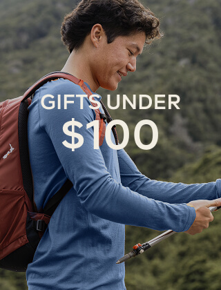 GIFTS UNDER $100