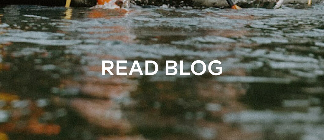 READ BLOG