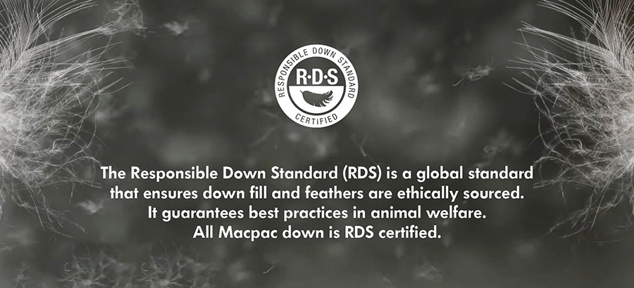 responsible down standard ethical sourcing of down and feathers