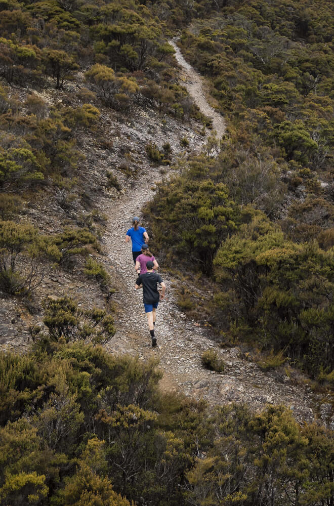 Two people wearing orange Macpac jackets hiking at sunset